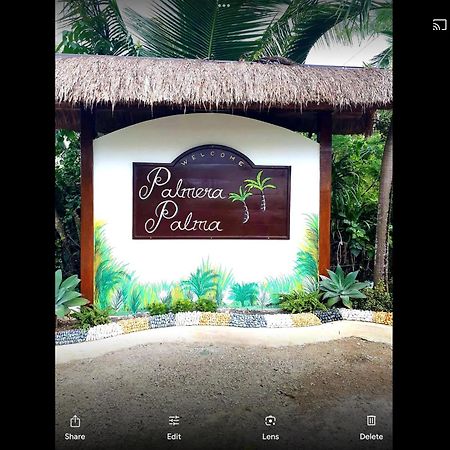 Palmera Palma Top Floor Моалбоал Екстериор снимка